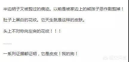 人和狗分开之后，狗狗还会记得以前的主人吗？插图51