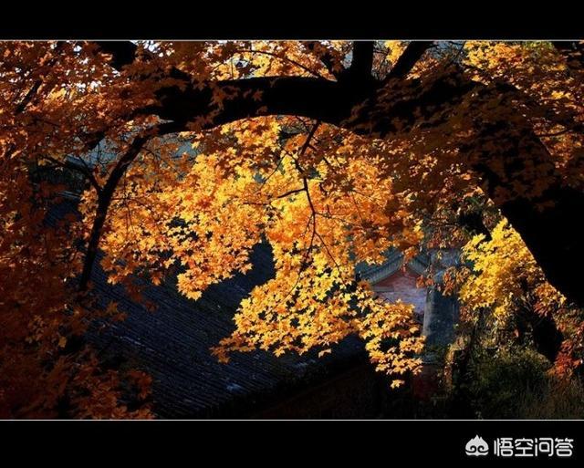 北京郊区<a href=https://maguai.com/list/52-0-0.html target=_blank class=infotextkey>旅游</a>:北京周边有哪些适合自驾游的地方？