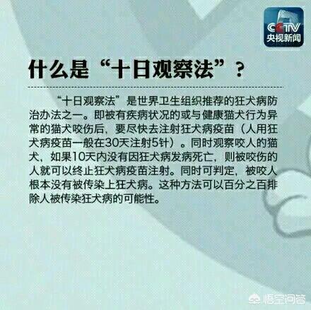 被家猫咬了怎么办乐乐:被野猫咬破了一点点皮，要打疫苗吗？