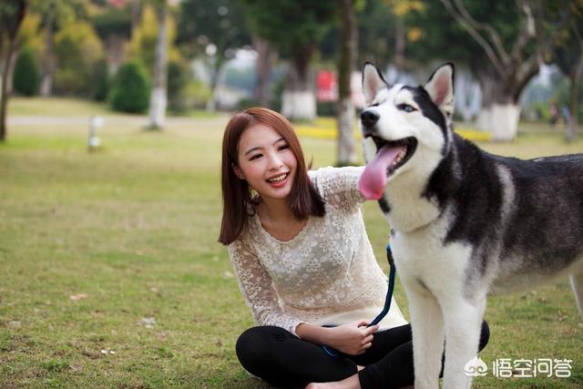 人和狗分开之后，狗狗还会记得以前的主人吗？插图44