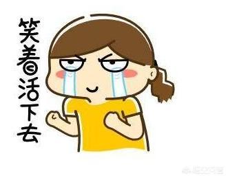 金毛犬有什么缺点？插图47