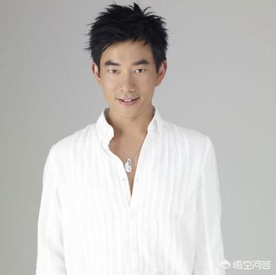 任贤齐电视剧:巅峰时期的任贤齐到底是什么样的存在？