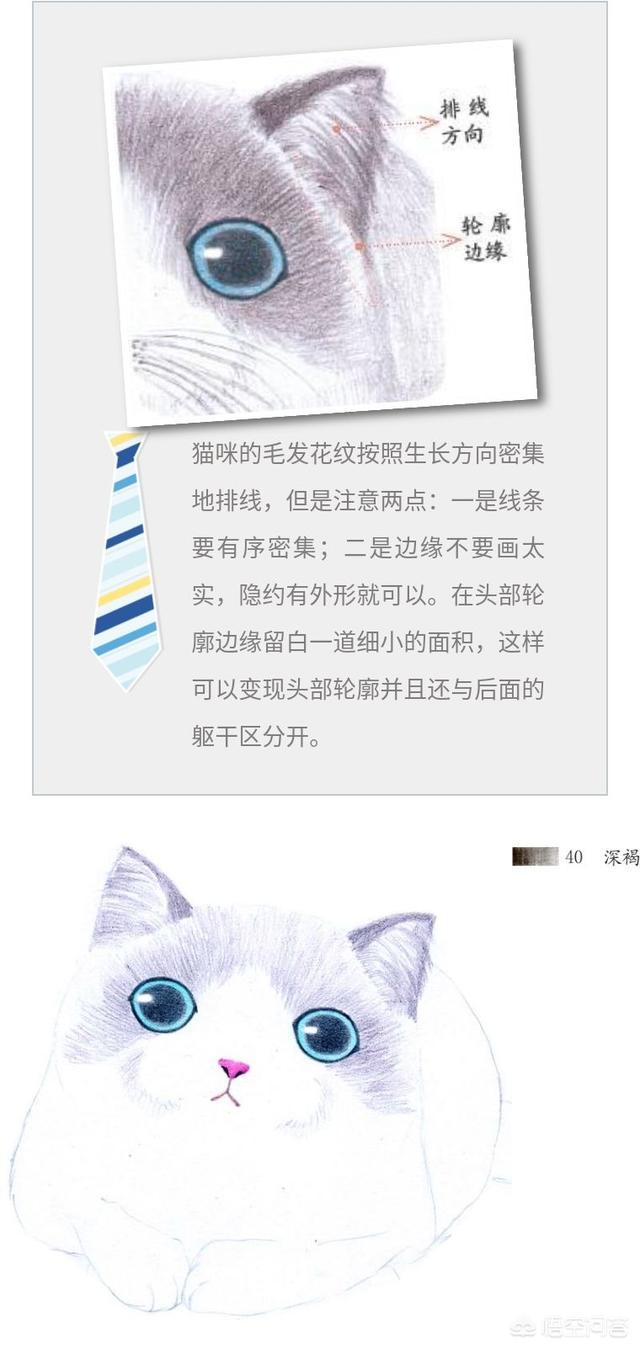 猫咪绘日本截尾猫:日本短尾猫是被人截掉的吗？