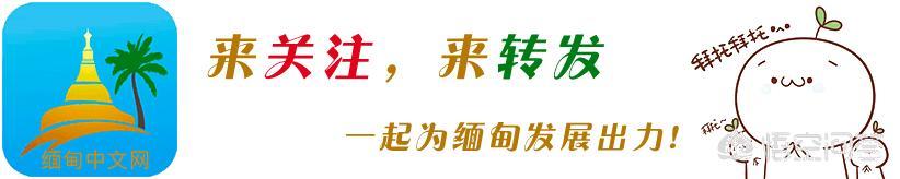 五叶梅是什么东西，俗语：“五树进宅，人穷家败”五树指的啥这句话有道理吗