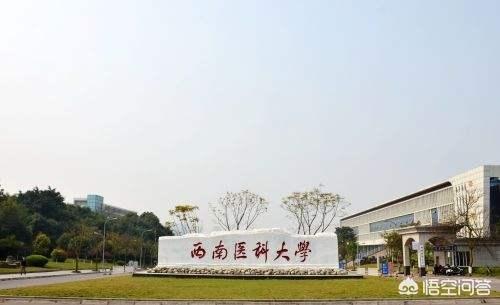 你认为四川省内医药类大学排名如何？