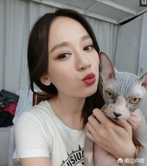 无毛猫纯种价格:无毛猫是一种怎样的存在？
