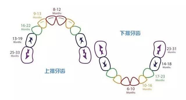窝沟,孩子没蛀牙，要不要做窝沟封闭？