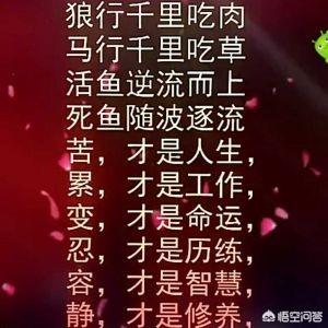 除了上班外,有什么网上赚钱项目可以增加自己收入？