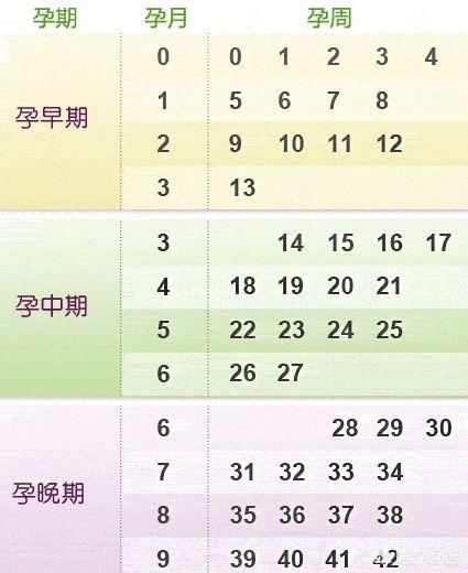 头条问答 怀孕三个月是多少周啊 51个回答