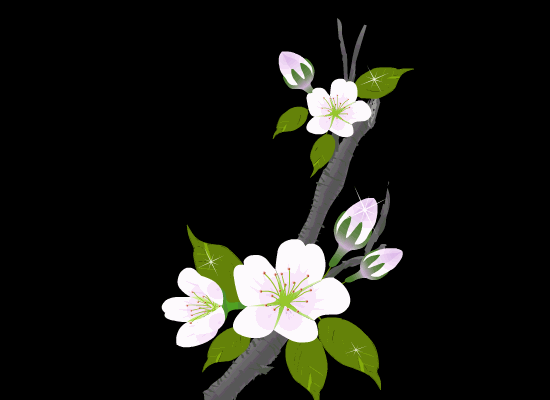 550_400gif 动态图 动图