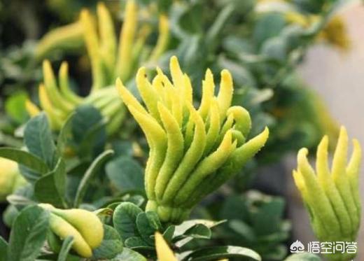 有人治愈过鼻炎吗?-百科网