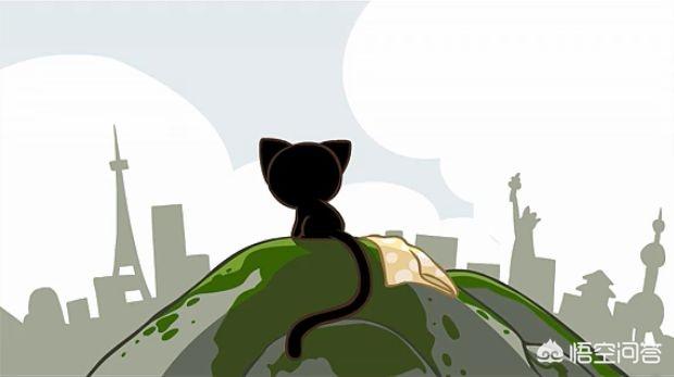 冀师傅天然猫粮怎么样:在15～30一斤的猫粮里，有什么品牌性价比高？