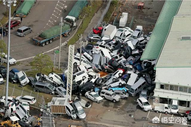 日本 救助犬:这次日本北海道发生七级地震损失惨重，我们该不该援助？