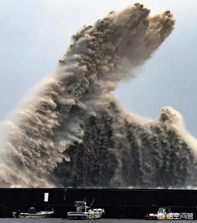日本 救助犬:这次日本北海道发生七级地震损失惨重，我们该不该援助？