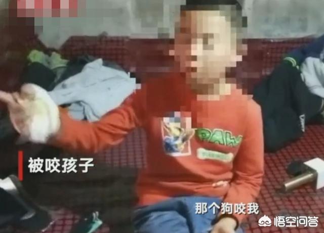 男子当街生火烤狗暴殄天物:有些爱狗人士说“火烧泰迪”的狗主人是偷狗贼，你怎么看？