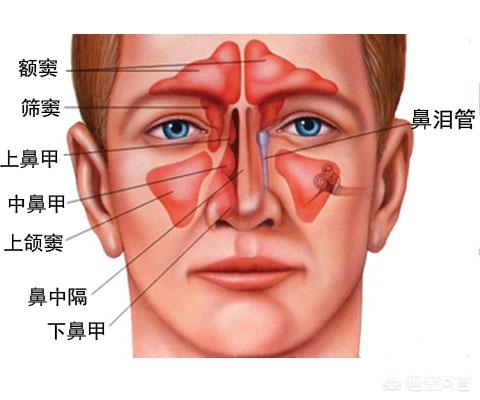 口臭的治疗(口臭的治疗方法)