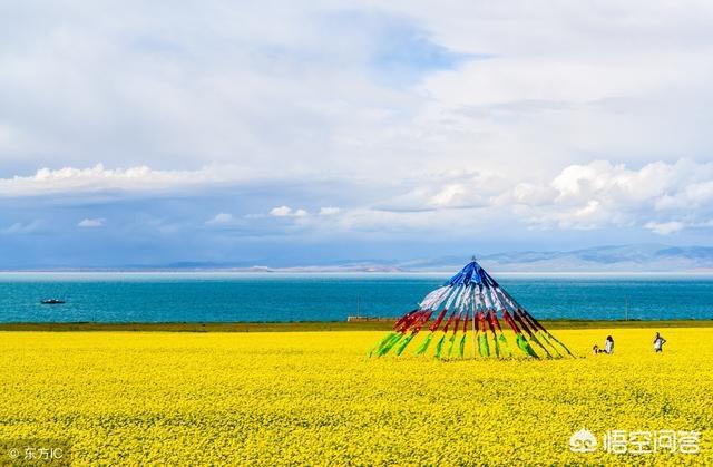 萨路基沙漠追羚羊视频:为什么有人宁愿花5个小时走国道，也不愿意走2个小时的高速？