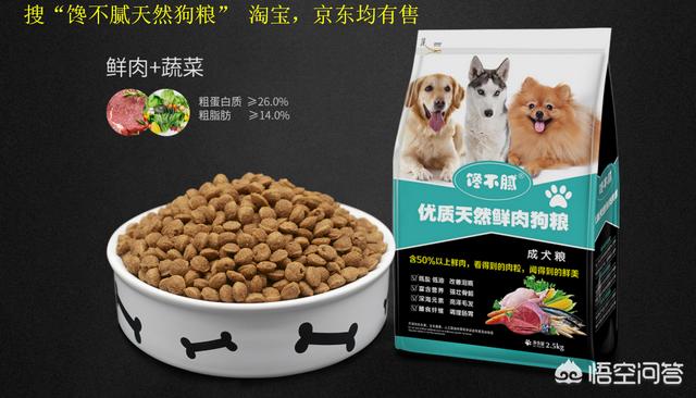 怎么挑选健康的萨摩耶幼犬:萨摩耶的幼犬应该怎么挑选？