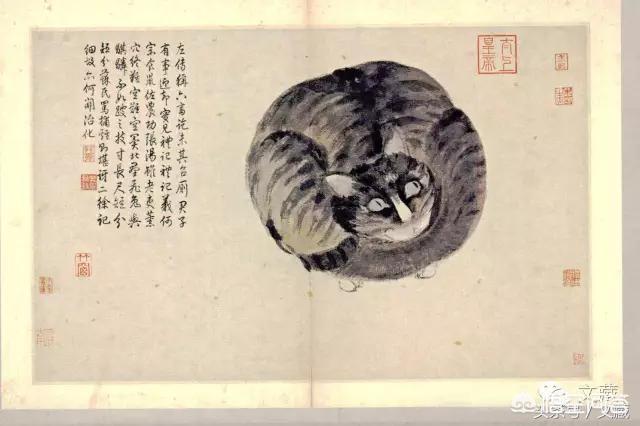 古代猫在哪个国家内受到严格保护:有哪些古代名人喜欢猫吗？