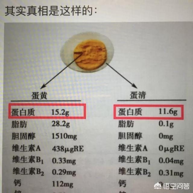 鸡蛋中蛋黄和蛋清哪个蛋白质含量高？