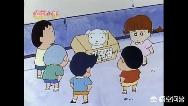 玛尔济斯犬蜡笔小新:蜡笔小新家的狗狗叫什么？