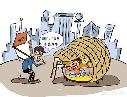 幸运土猫北京:是什么原因让你养了第二只猫？