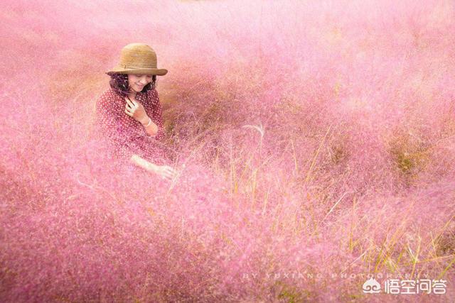 李香君血溅桃花扇:电影桃花扇中主人公是陆游吗？
