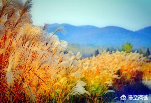 李香君血溅桃花扇:电影桃花扇中主人公是陆游吗？