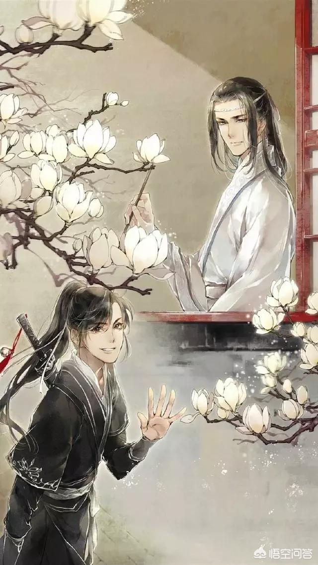 类似于他很神秘的小说，有什么类似于《魔道祖师》之类的小说