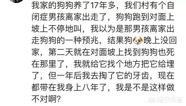 老狗死后留狗宝:为什么有人跑农村收“岁数大的土狗”？ 十年以上老狗有狗宝吗