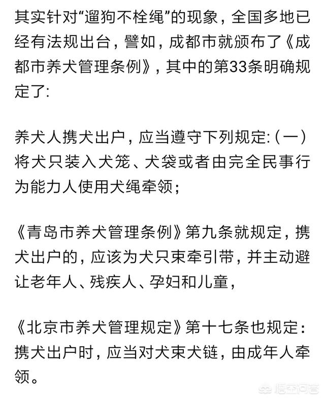 德牧新闻:为什么有的中国人遛狗不牵绳？