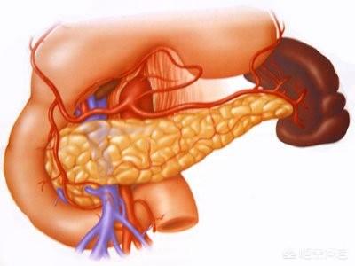 胰腺炎的症状:胰腺炎的症状及治疗 胰腺炎都会疼痛吗？胰腺炎有哪些症状？