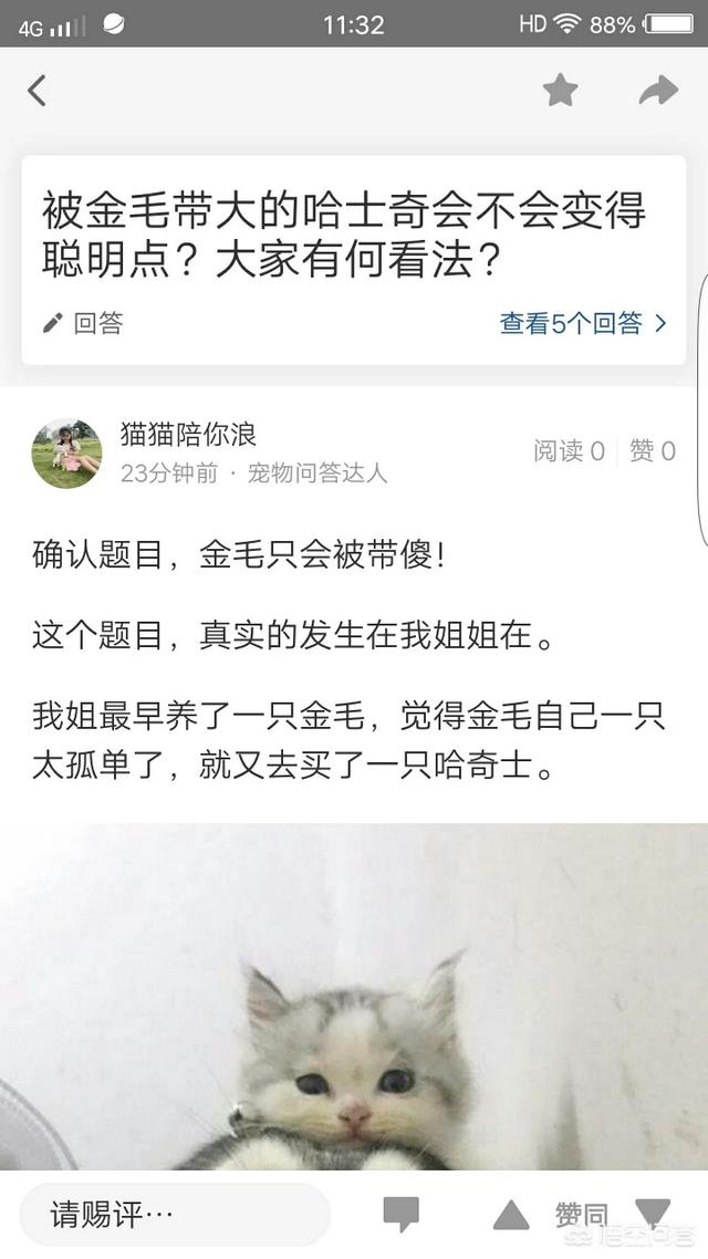 优酷小狗罚站:狗狗最怕什么惩罚？什么方法有效？