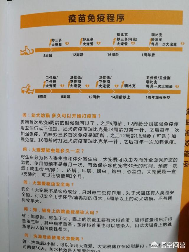 八哥犬幼犬什么时候打疫苗:狗狗多大的时候打疫苗比较好？ 巴哥犬一生要接种几次疫苗