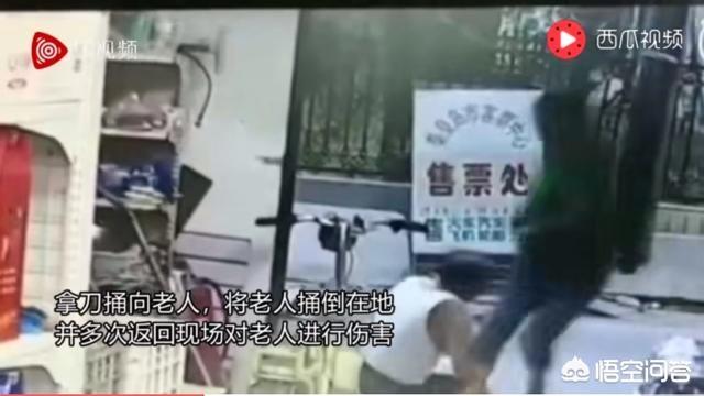 山东枣庄狼伤人事件的评价:你们怎么看昆山“龙哥”被砍事件？