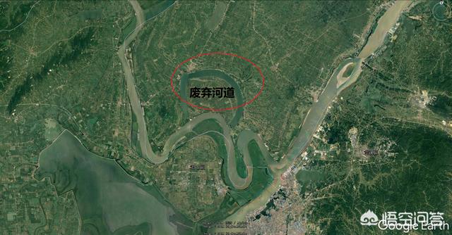 中华雀鸟论坛坛:你觉得国漫还有哪些阻碍着自身发展的不足之处？