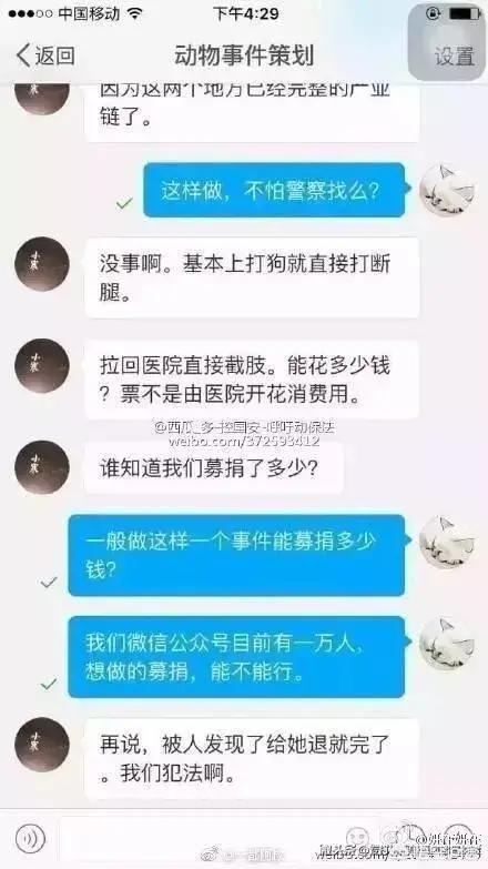 现收养400只流浪狗:为什么社会上有人卖房省吃省喝也要收养流浪狗？