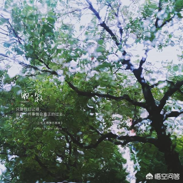 手机修图软件哪款效果质量高大上,大家推荐推荐,谢谢啦？