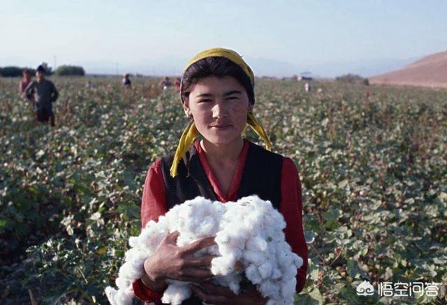 乌兹别克斯坦甜瓜有多甜，乌兹别克斯坦是个怎样的国家