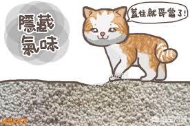 养猫咪一定需要猫砂吗，为什么猫要用猫砂而狗不用猫小便也会用猫砂吗