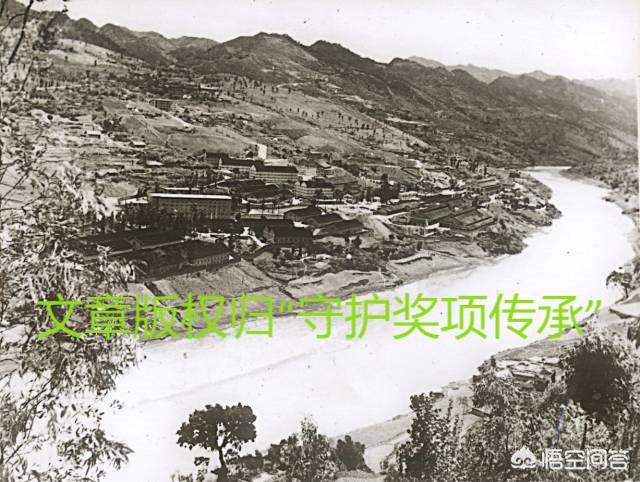 中华藏獒网最新版app下载:为什么总有人问藏獒和东北虎谁厉害？