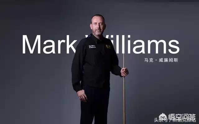车侑蓝资料:世界上最漂亮的九球天后是谁？世界上有多少个九球天后？