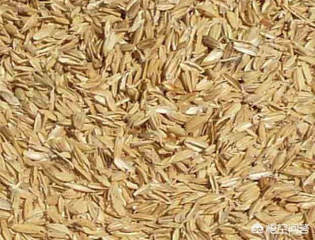 头条问答 大米磨出来的稻壳 都能用在哪里 麻辣青春123的回答 0赞