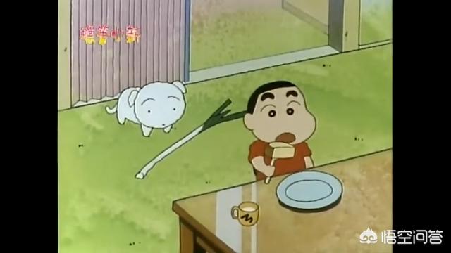 玛尔济斯犬蜡笔小新:蜡笔小新家的狗狗叫什么？