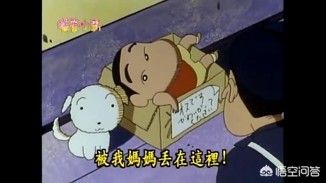 玛尔济斯犬蜡笔小新:蜡笔小新家的狗狗叫什么？