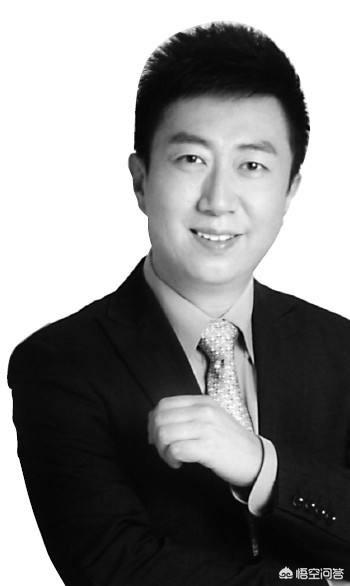 陈伟鸿:如何评价央视主持人陈伟鸿？