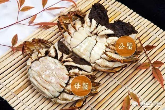 中秋回家买什么礼物？
