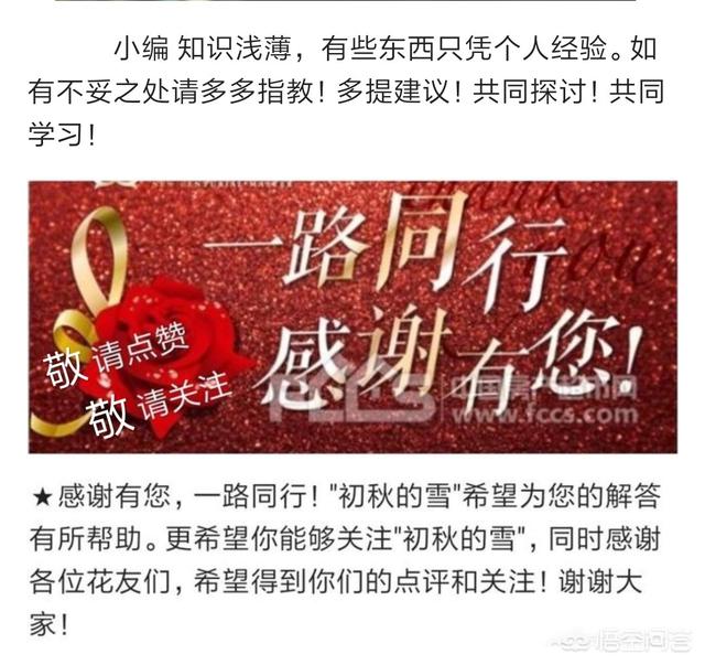 梅完梅了:在修剪三角梅后，其从修剪处分枝，接下来应该怎么修剪