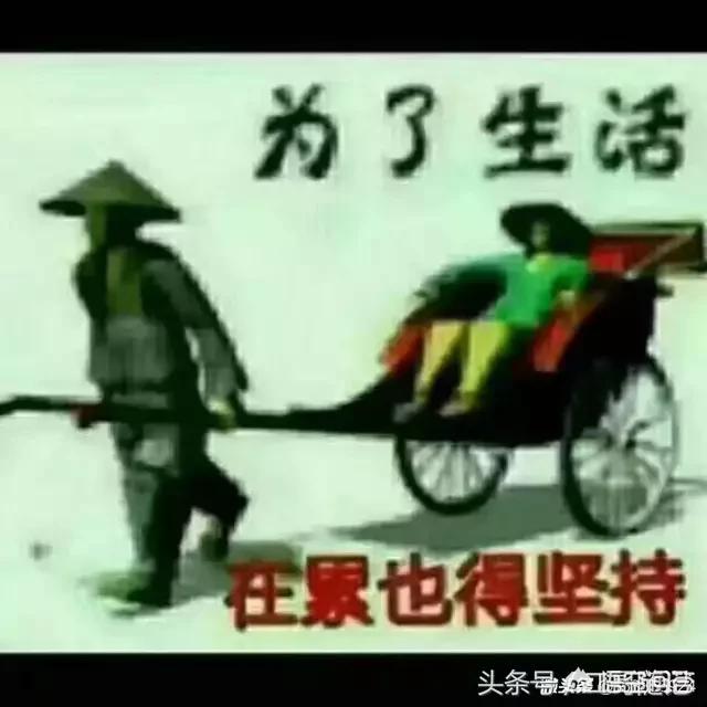 有人说现在的生活压力大,有的人选择隐居山林,这样是否好？如果是你,你会怎么选择？