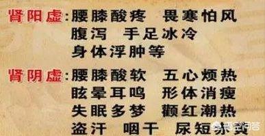 金匮肾气丸补肾阴虚吗，肾阳虚、肾阴虚该吃什么药